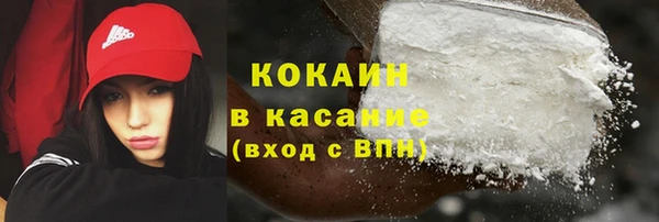 трава Коряжма