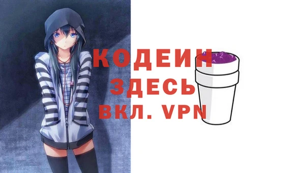 трава Коряжма