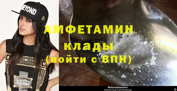 трава Коряжма