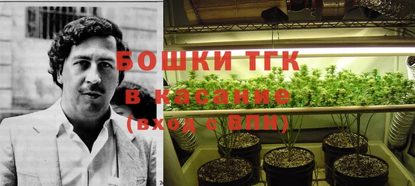 трава Коряжма