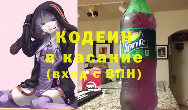 трава Коряжма