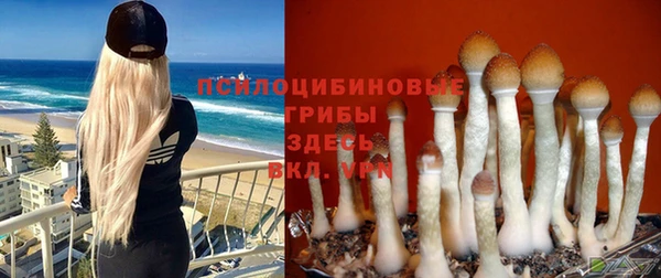 PSILOCYBIN Краснотурьинск