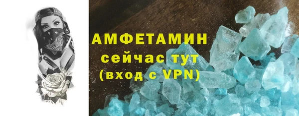 трава Коряжма