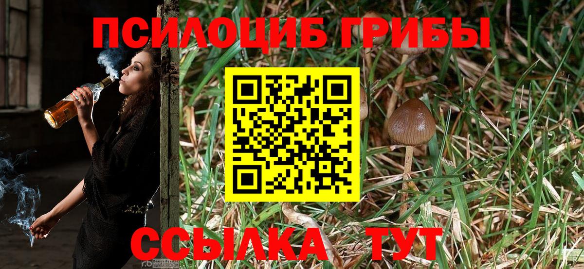 Галлюциногенные грибы Cubensis  Вход с VPN  Галлюциногенные грибы Cubensis  Якутск 