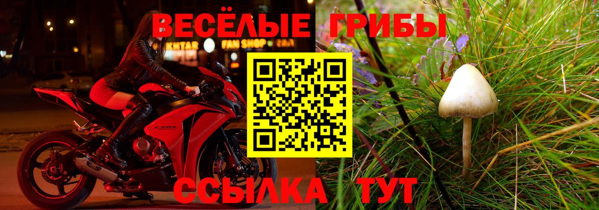 Псилоцибиновые грибы ЛСД Якутск