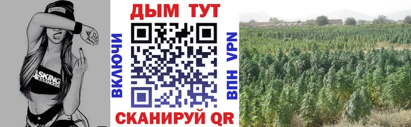 Канабис Ganja  MEGA зеркало  Якутск 